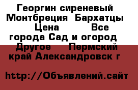 Георгин сиреневый. Монтбреция. Бархатцы.  › Цена ­ 100 - Все города Сад и огород » Другое   . Пермский край,Александровск г.